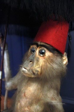 猿 Painting - 赤い帽子をかぶった小さな猿